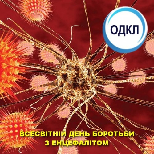 22 лютого Всесвітній день боротьби з енцефалітом Обласна дитяча клінічна лікарня Харків